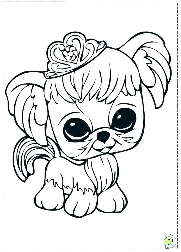 Littlest Pet Shop Coloring Pages Free Pet Shop Coloring Pages 691x960 Littlest Pet Shop Coloring Pages Free Pet Shop Coloring Pages