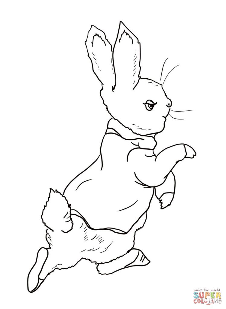 Peter Rabbit Coloring Pages 748x1024 Peter Rabbit Coloring Pages