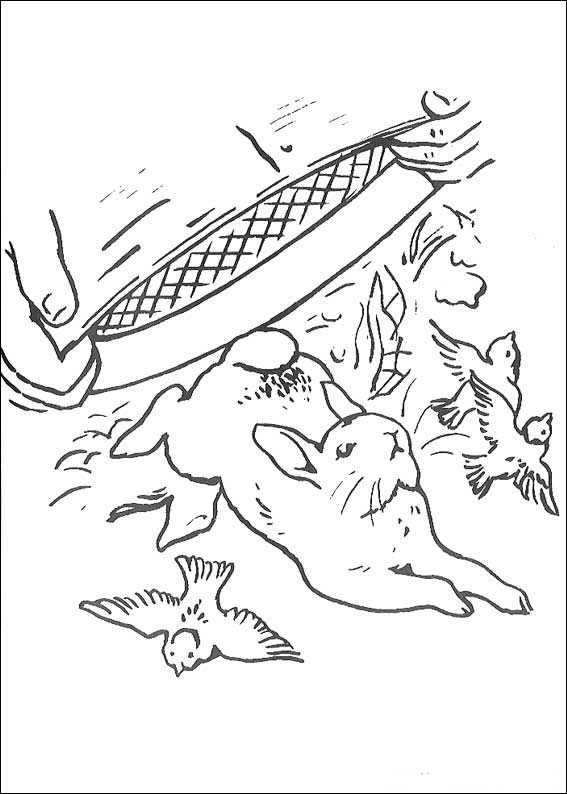 567x794 Kids N 29 Coloring Pages Of Peter Rabbit