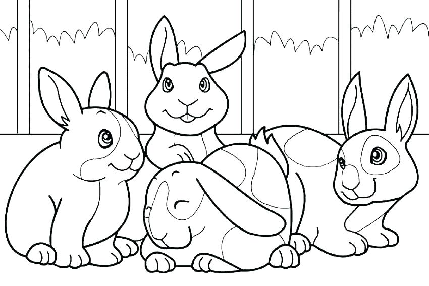 850x567 Peter Rabbit Coloring Pages Rabbit Coloring Pages Peter Rabbit New