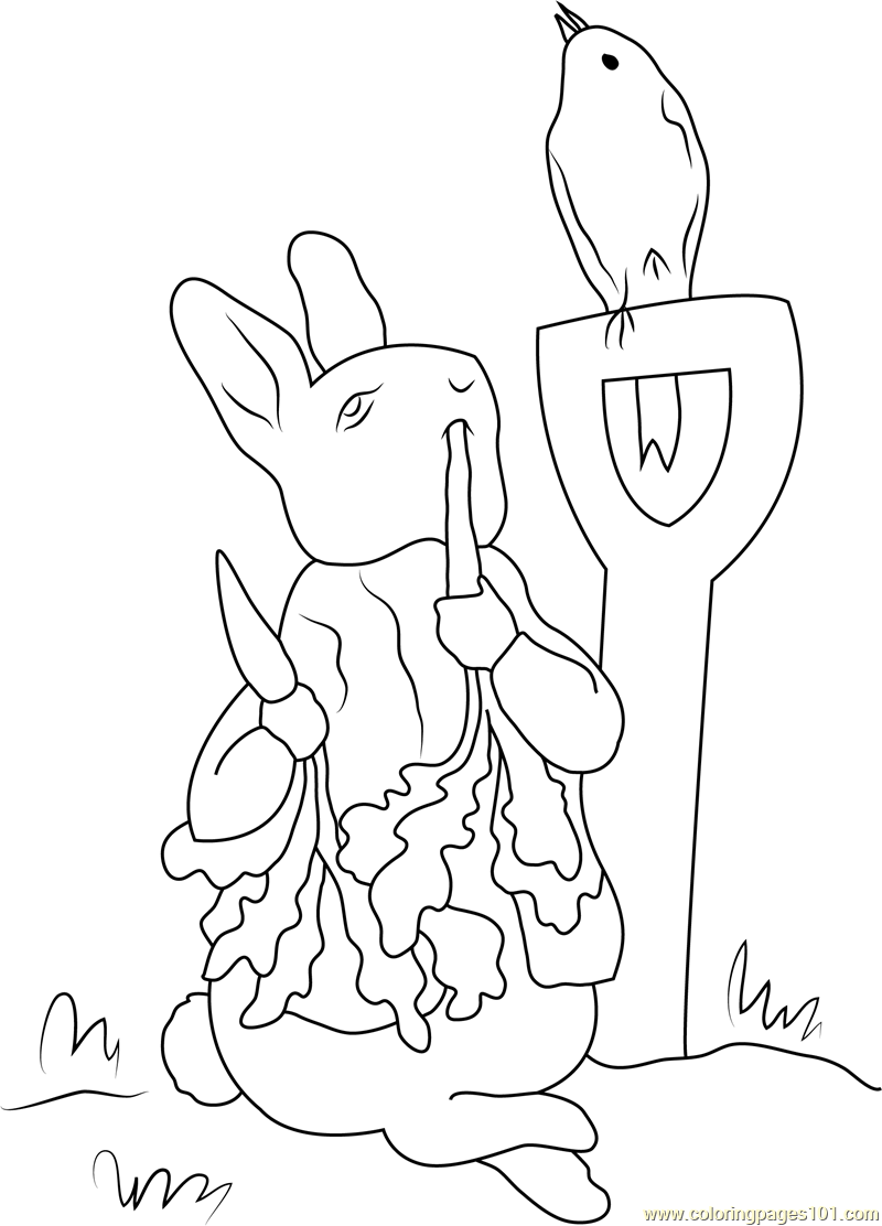 800x1112 Peter Rabbit Coloring Pages
