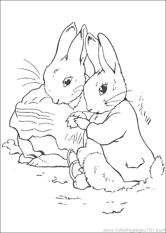 567x794 Beatrix Potter Coloring Pages Peter Rabbit Coloring Pages Free