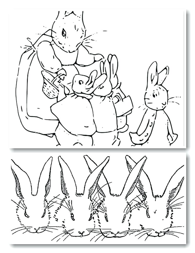800x1035 Exploit Free Printable Peter Rabbit Coloring P 9522 Unknown Peter