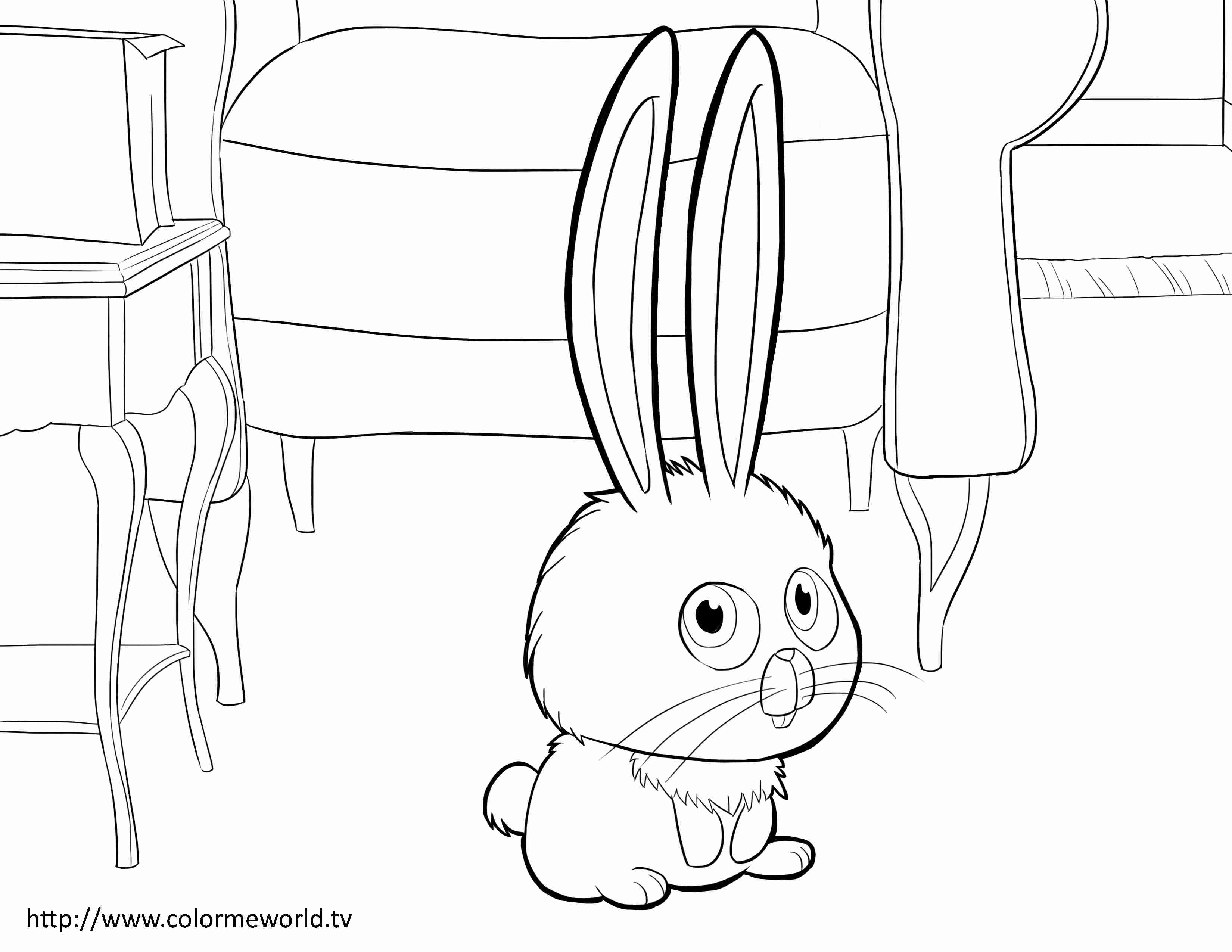 Snowball Pdf Printable Coloring Page The Secret Life Of Pets 3300x2550 Snowball Pdf Printable Coloring Page The Secret Life Of Pets