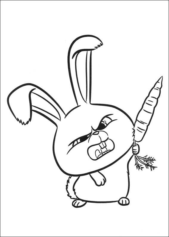 The Secret Life Of Pets Coloring Pages 32 Baby Checklist 567x794 The Secret Life Of Pets Coloring Pages 32 Baby Checklist