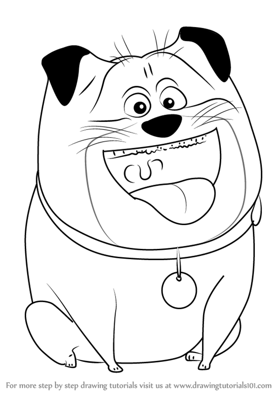 Learn How To Draw Mel From The Secret Life Of Pets (The Secret 567x800 Learn How To Draw Mel From The Secret Life Of Pets (The Secret