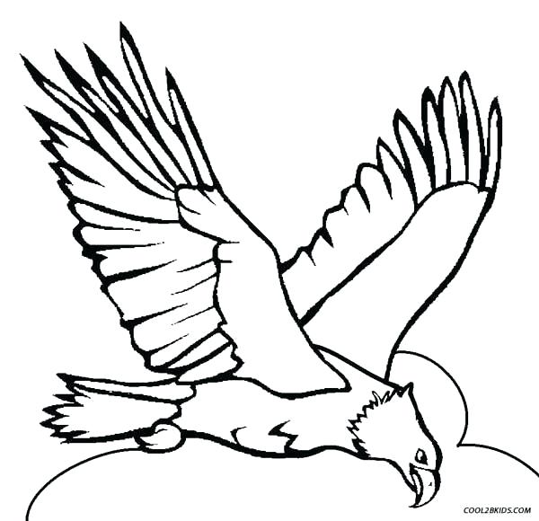 Eagles Coloring Pages Printable Eagle Coloring Pages For Kids 600x580 Eagles Coloring Pages Printable Eagle Coloring Pages For Kids