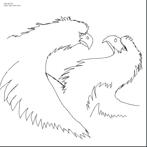 Philadelphia Eagles Coloring Pages Medium Size Of Eagles Coloring 500x500 Philadelphia Eagles Coloring Pages Medium Size Of Eagles Coloring