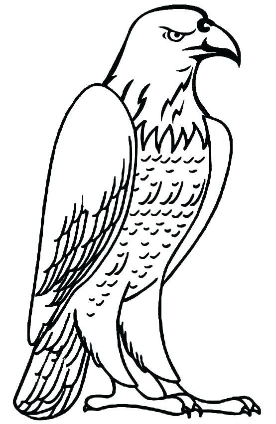 Top Free Printable Eagles Coloring Pages Eagles Coloring Pages 554x850 Top Free Printable Eagles Coloring Pages Eagles Coloring Pages