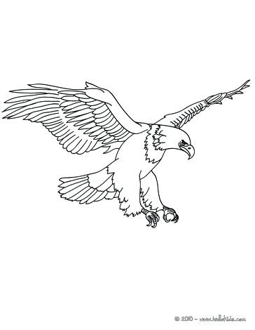 Coloring Pages Of Eagles Eagle Printable Eagle Printable Coloring 364x470 Coloring Pages Of Eagles Eagle Printable Eagle Printable Coloring