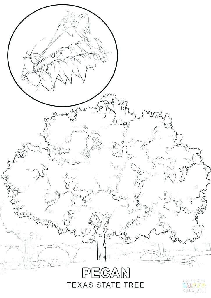 Us Symbols Coloring Pages Patriotic Coloring Pages Remarkable 725x1024 Us Symbols Coloring Pages Patriotic Coloring Pages Remarkable