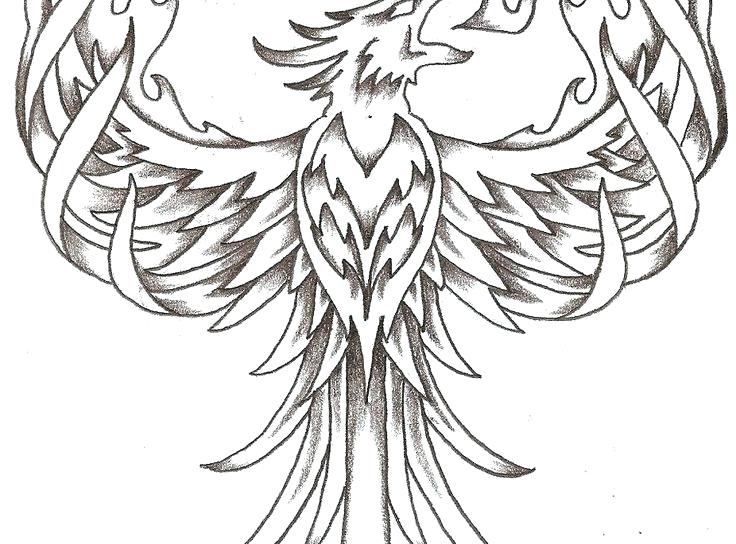 736x544 Bird Coloring Pages Adults Printable Coloring Birds Coloring Pages