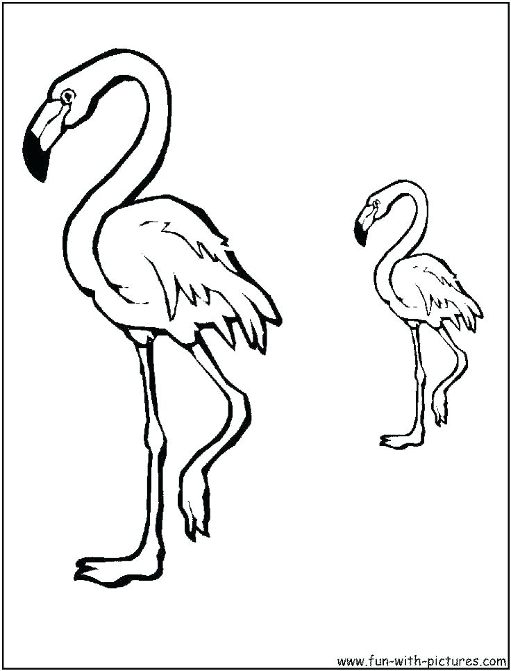 736x966 Bird Coloring Pages For Adults Packed With Phoenix Bird Bird