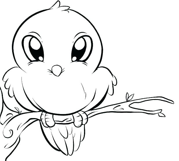 618x559 Bird Coloring Pages Free Woodpecker Phoenix Online Coloring