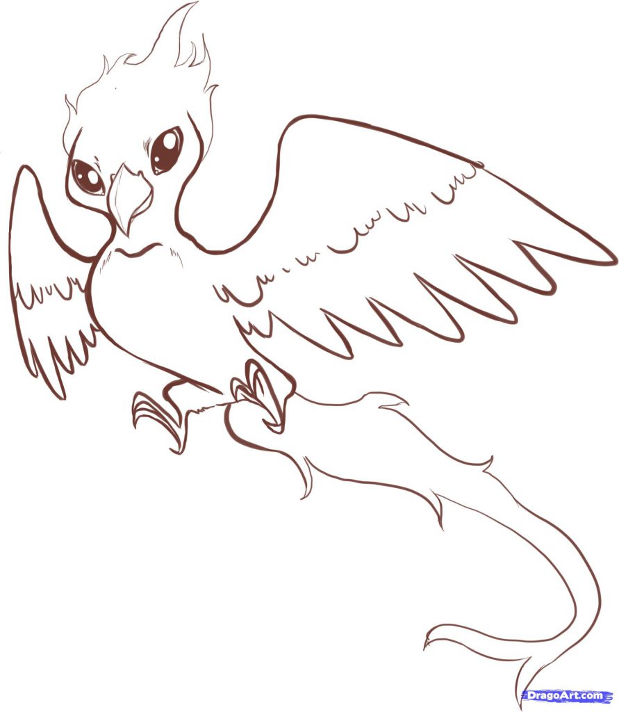 891x1024 Outstanding Phoenix Coloring Pages Wright Free Printables
