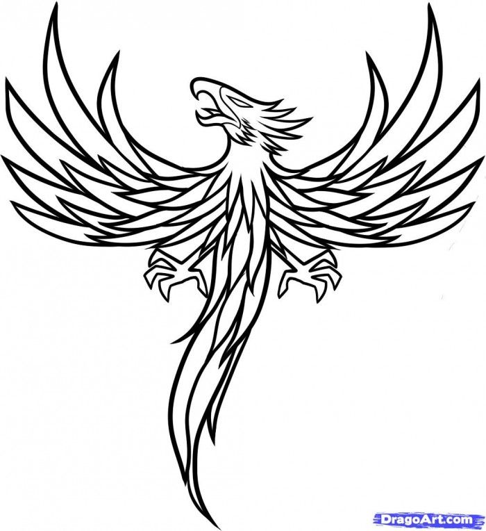 700x764 Phoenix Coloring Page Coloring Book Patterns