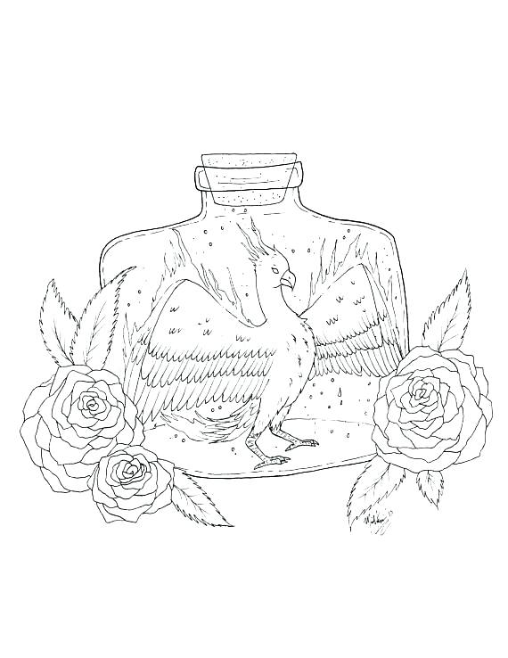 570x738 Phoenix Coloring Pages Legend Of Coloring Pages Legend Of Coloring