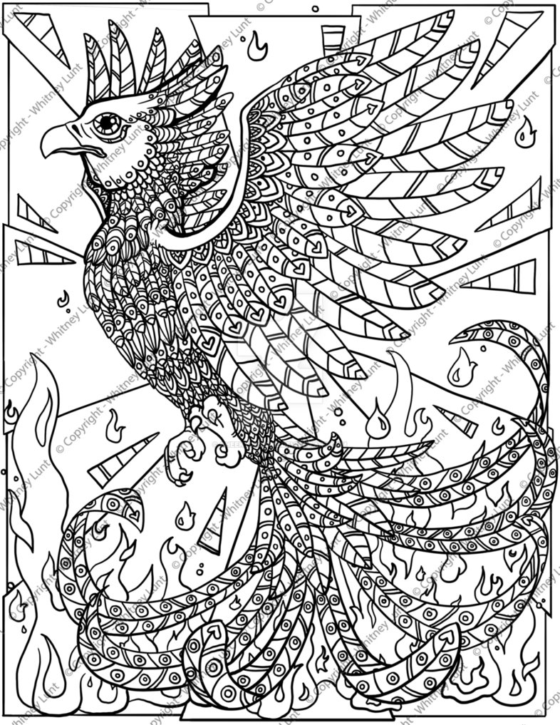 786x1017 Phoenix Coloring Page By Cheekydesignz