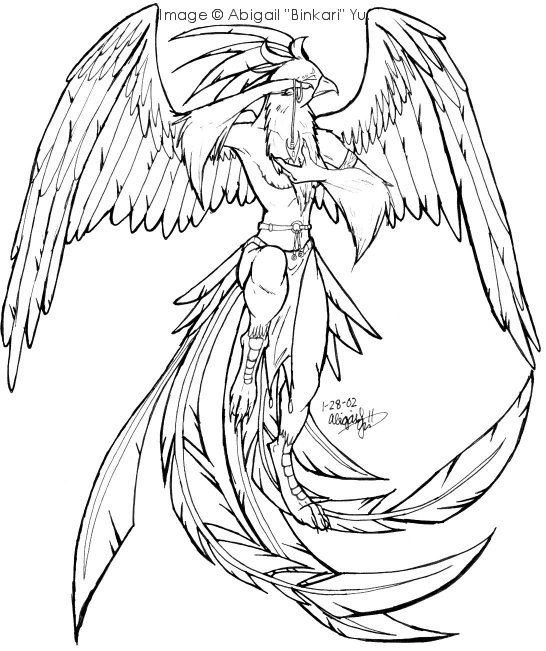 546x651 Coloring Pages Phoenix Bird