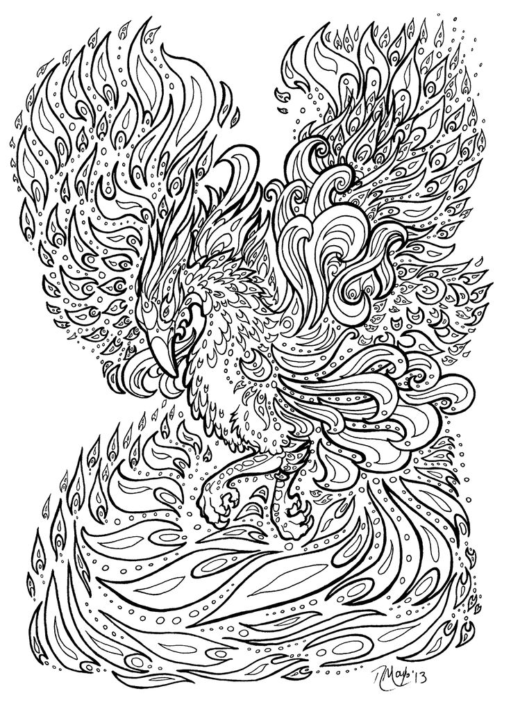 736x1018 Phoenix Coloring Pages 83 Best Coloring