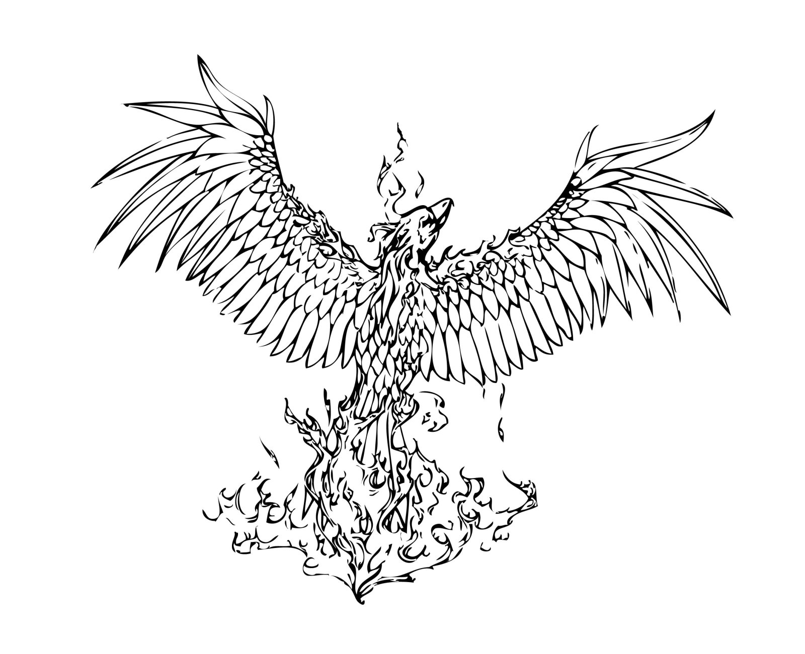 1600x1301 Coloring Pages Phoenix Bird Inspiration Phoenix Study Fahrenheit