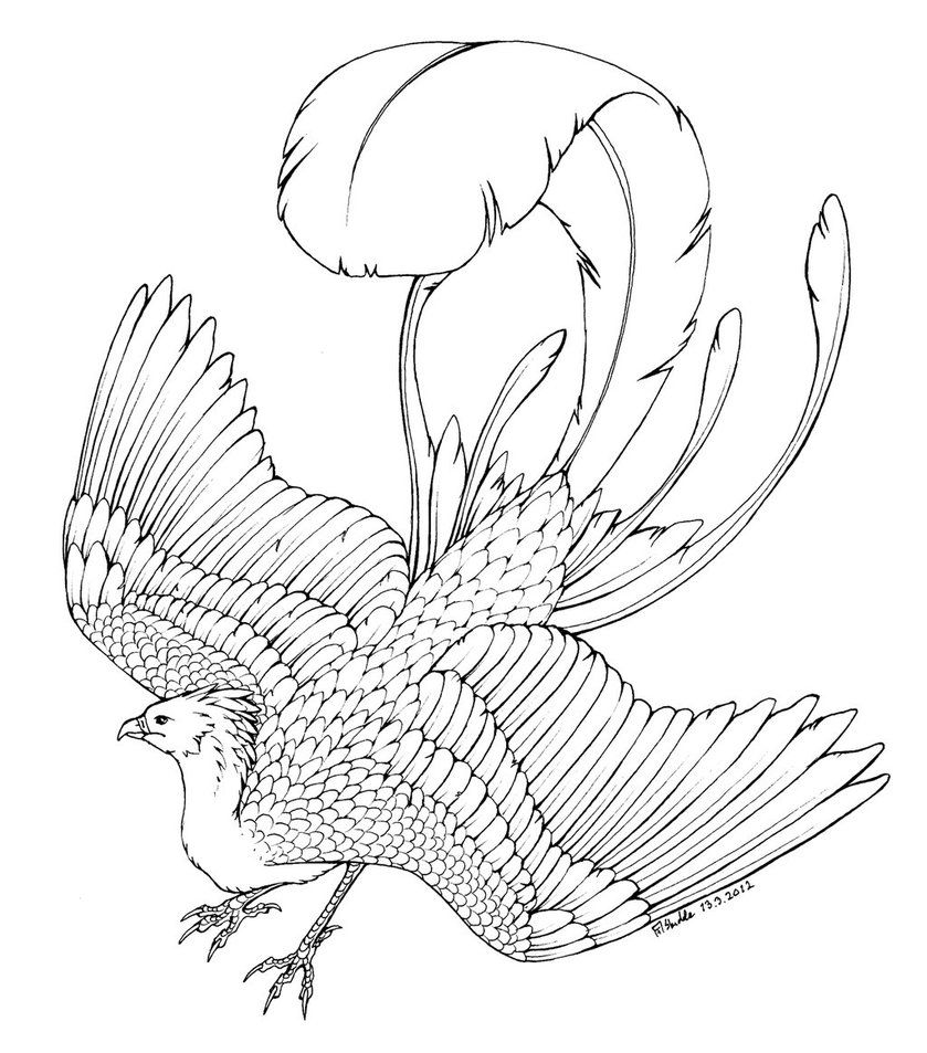 Phoenix Coloring Pages 839x953 Phoenix Coloring Pages