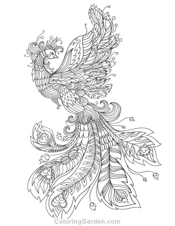 Pin By Muse Printables On Adult Coloring Pages 600x776 Pin By Muse Printables On Adult Coloring Pages