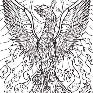 Coloring Pages Phoenix Bird Copy Ideas Phoenix Coloring Pages 300x300 Coloring Pages Phoenix Bird Copy Ideas Phoenix Coloring Pages