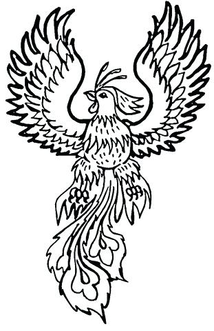 311x480 Phoenix Coloring Page Free Printable Coloring Pages Free Printable