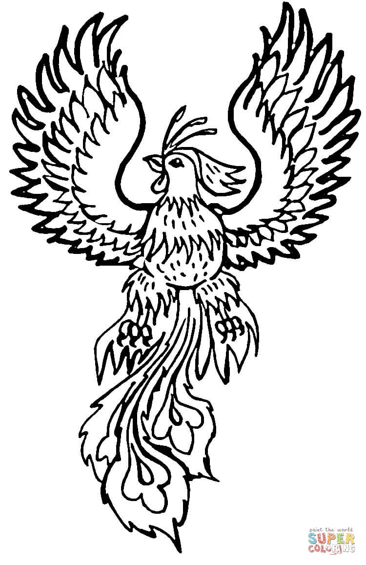 750x1157 Phoenix Coloring Page Free Printable Pages
