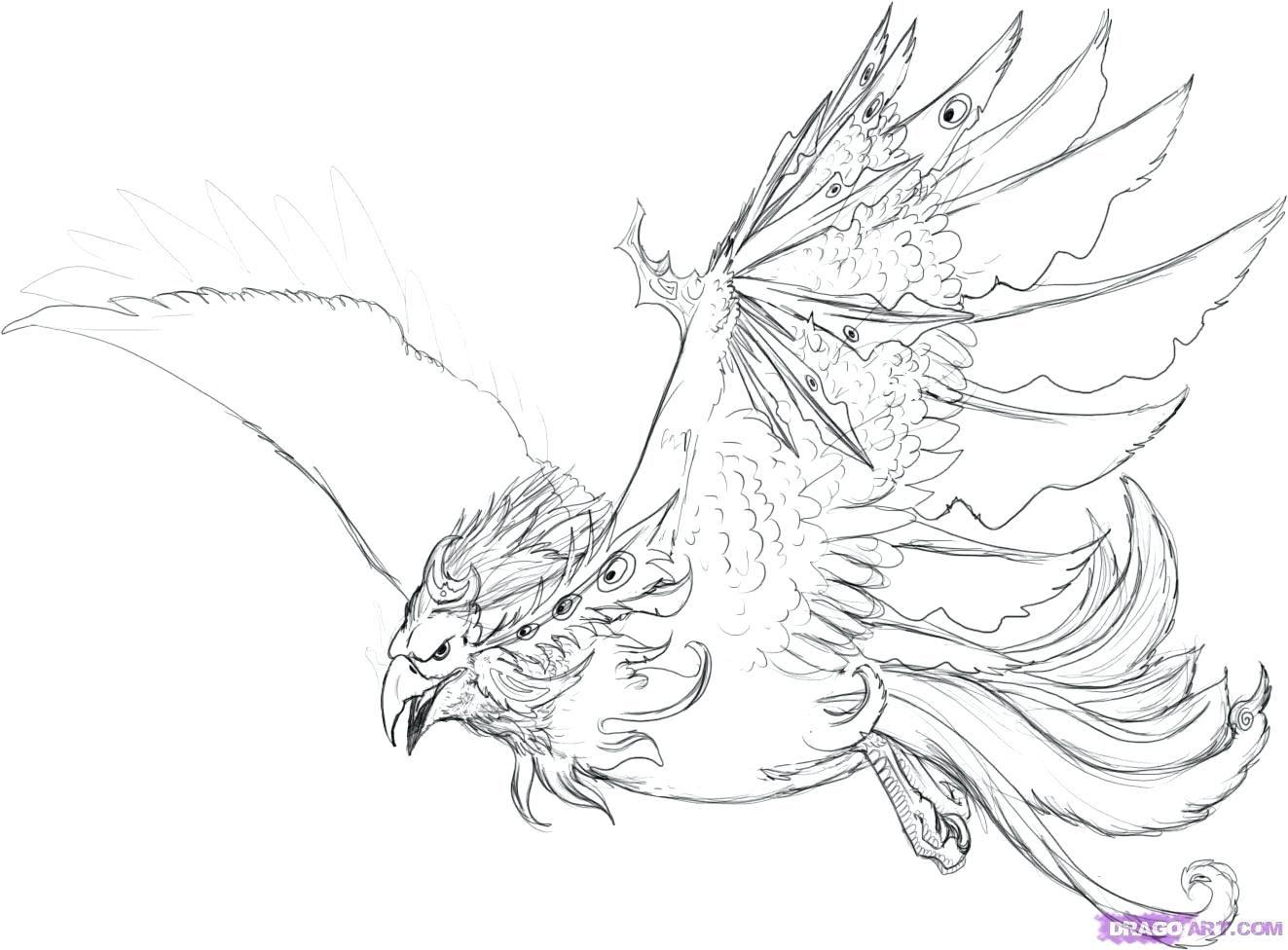 1323x976 Coloring Page ~ Phoenix Coloring Pages How To Draw A Water Free