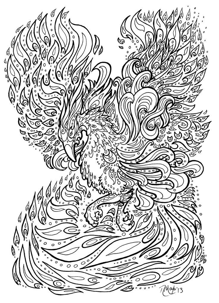 736x1018 Printable Phoenix Stress Relief Coloring Pages Free