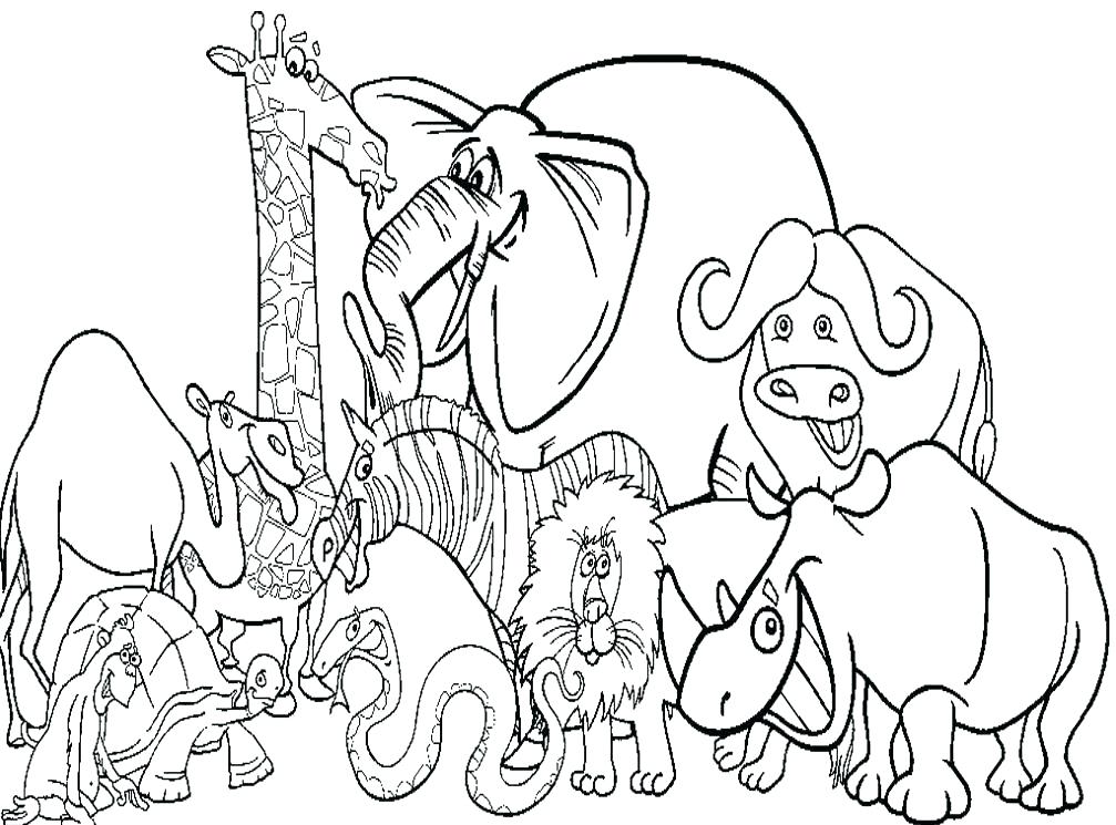 1007x745 Zoo Coloring Pages Color Pages Animals Color Pages Animals Cute
