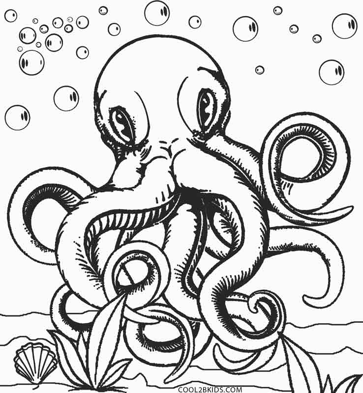 738x800 Printable Octopus Coloring Page For Kids Cool2bkids