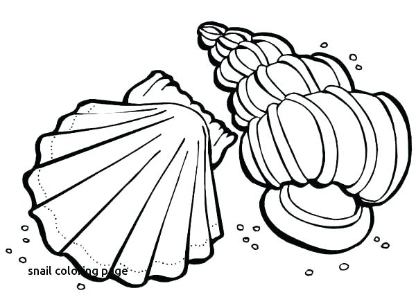 600x442 Snail Coloring Page Snail Coloring Page Turbo Snail Coloring Pages