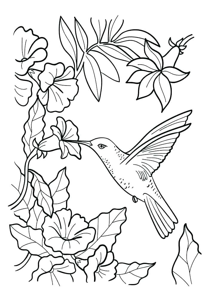 750x1000 Simple Flower Coloring Pages Flower Coloring Pages Also Flower