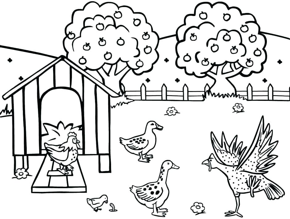 940x710 Photosynthesis Coloring Page Photosynthesis Coloring Book