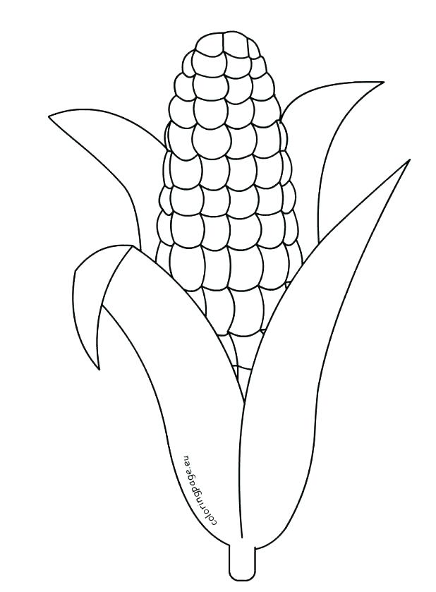 Coloring Page Cornucopia Free Pictures Corn Pages Printable 618x839 Coloring Page Cornucopia Free Pictures Corn Pages Printable