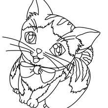 220x220 Cat Picasso Coloring Pages
