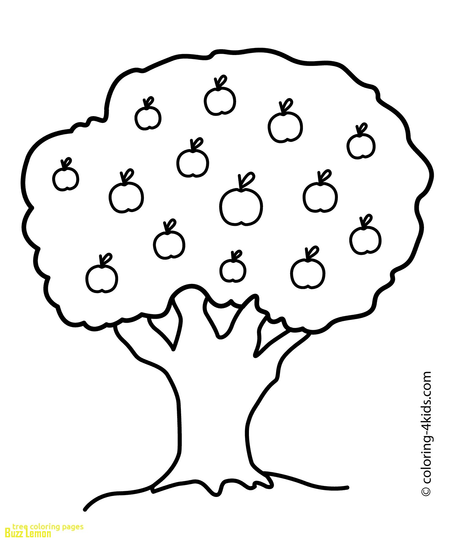 1483x1780 Luxury Coloring Page Tree Buzz Coloring