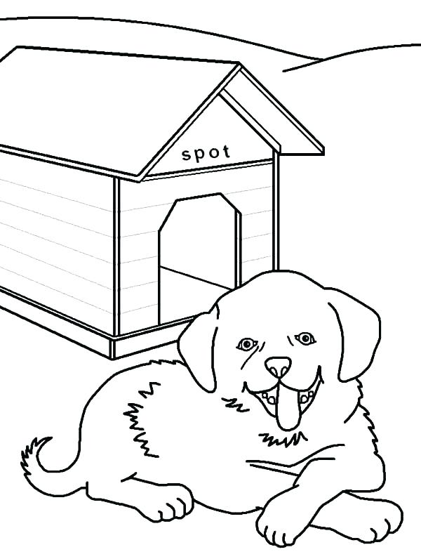 600x796 Oval Coloring Page Trend Coloring Page Of Dog Kids Pages Pictures
