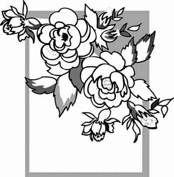 600x611 Rose Picture Frame Coloring Page