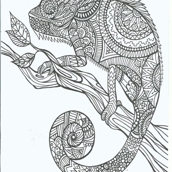 600x600 Adult Coloring Pages Popular Trend Coloring Pages