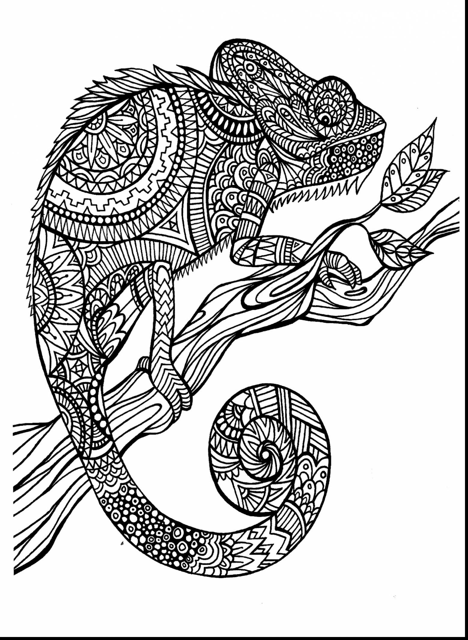 1558x2129 Adult Coloring Pages Animals Flowers Free