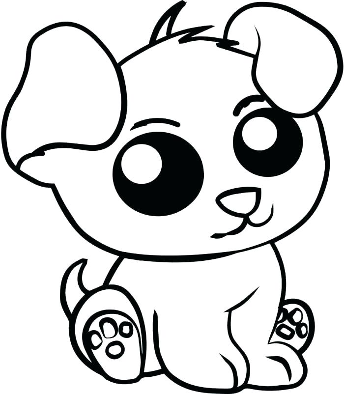 700x802 Rainforest Animals Coloring Pages At Animals Coloring Pages