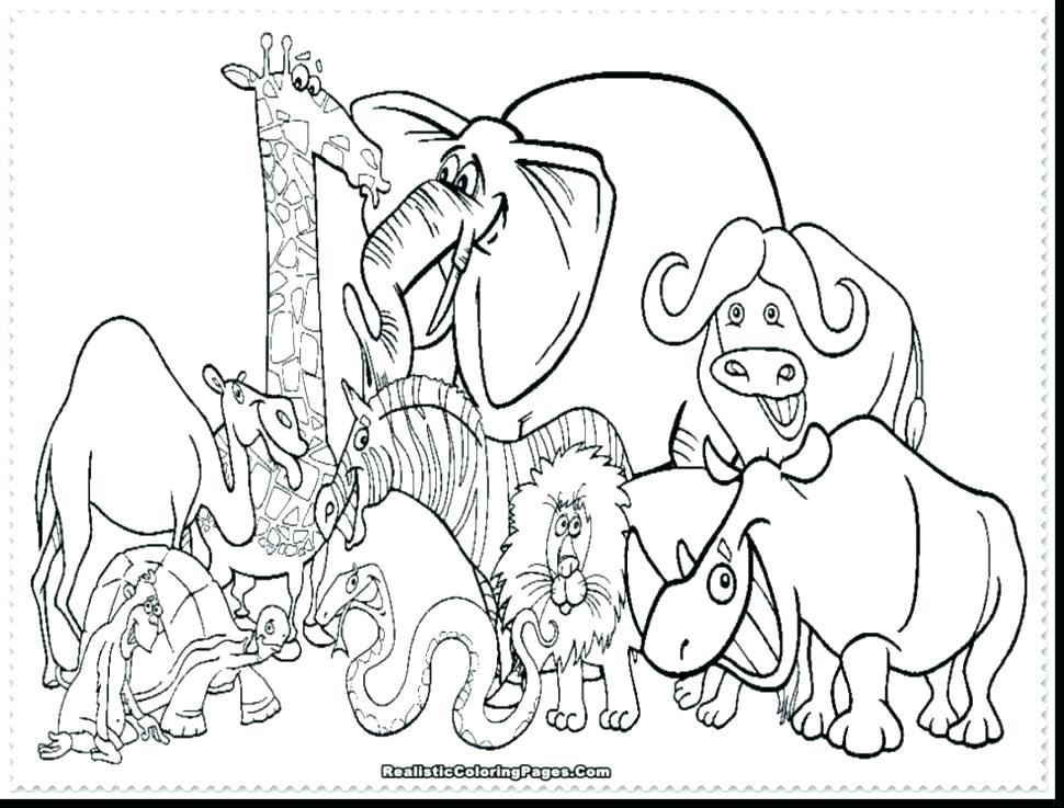 970x737 Zoo Animals Coloring Pages Games Also Peacock Seeing In