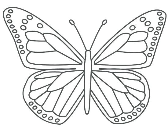550x456 Butterfly Printable Printable Butterfly Coloring Pages Butterfly