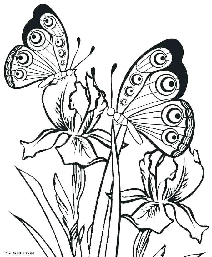 678x820 Fun Butterfly Coloring Pages For Kids Butterfly Coloring Page