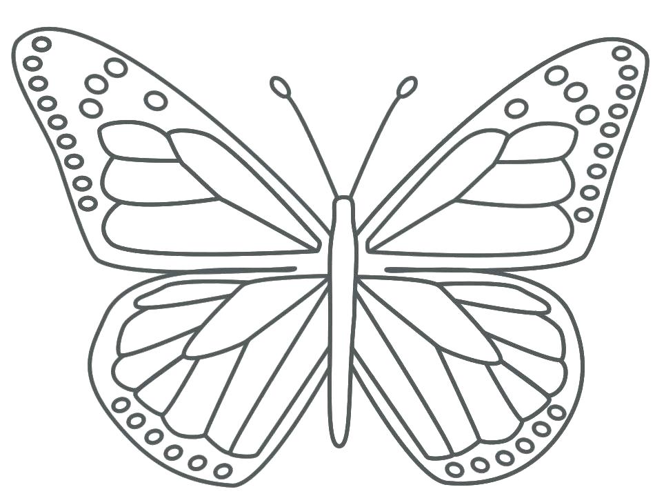 950x719 Life Cycle Of A Butterfly Coloring Page Butterflies Coloring Pages