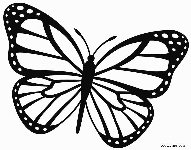 800x628 Awesome Monarch Butterfly Coloring Pages 78 In Coloring Pages
